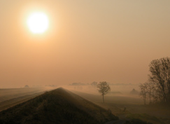 ..::Landscape::..